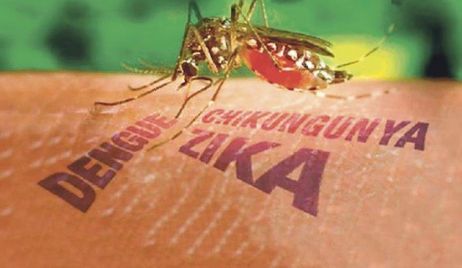 En Santa Fe detectaron 52 casos autóctonos de dengue