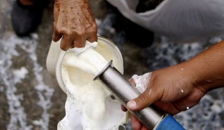 Por la crisis láctea, regalarán miles de litros de leche