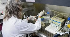 La Encefalitis Equina del Oeste se podrá detectar en laboratorios públicos de la Provinci