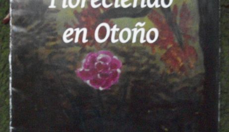 Rincón Literario: 