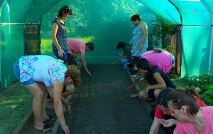 El Cecla 70 impulsa propuesta para embellecer con flores el barrio