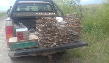 Operativos de la Guardia Rural 