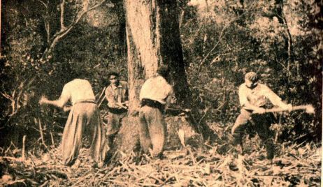 “La Ruta de La Forestal” como corredor turístico en Vera, San Justo y Obligado