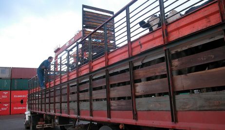 Es obligatorio el comprobante electrónico para el comercio de hacienda