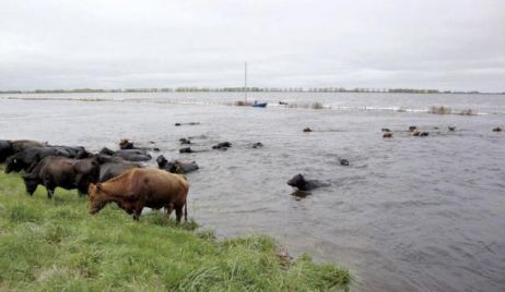 Nación contempla créditos con tasa subsidiada para los productores afectados