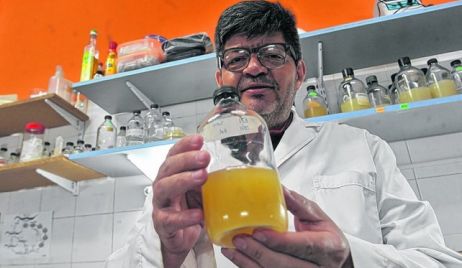 Rosario: Descubren una bacteria que actúa sobre la longevidad