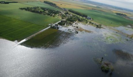 La Nación declaró la emergencia agropecuaria en Santa Fe
