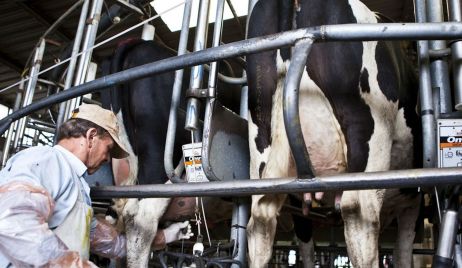 Línea de préstamos a productores tamberos