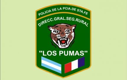 Arrojó carne robada en una casa y se dio a la fuga