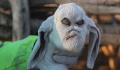 Nacimiento de un cabrito con rasgos humanos