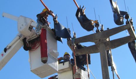 Corte de energía para  este miércoles