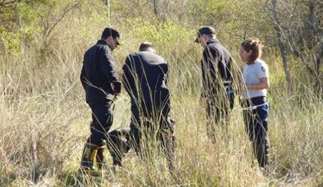 CASO ROSALÍA JARA: ANALIZARÁN CABELLOS ENCONTRADOS EN UN NIDO.