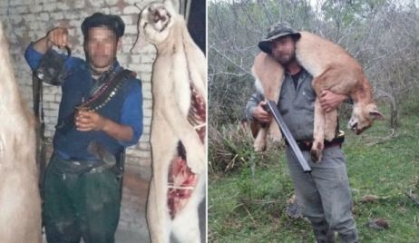 Detuvieron a joven que exhibía en su Facebook animales que cazaba