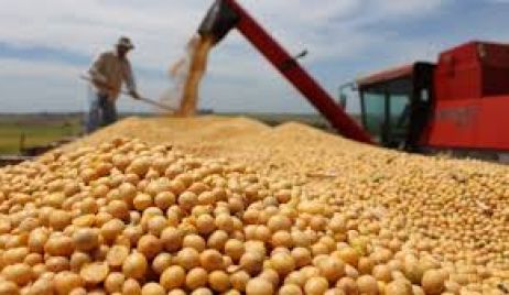 Compensación del Fondo Sojero: Santa Fe recibirá 380 millones de pesos