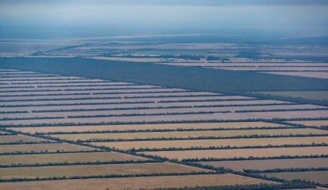 “Las inundaciones serán recurrentes si no se frena la deforestación”