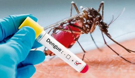 Son 155 los casos de dengue  confirmados en toda la provincia