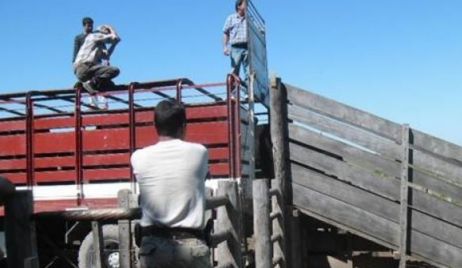 ELIMINAN EL VISADO POLICIAL PARA TRANSPORTAR GANADO EN PIE EN SANTA FE