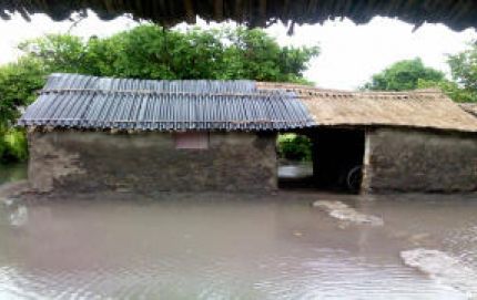 AGUA POTABLE CONTAMINADA CON MATERIA FECAL EN FLORENCIA