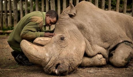 La historia detrás de la foto de la década de National Geographic