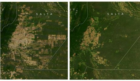 La NASA elige como imagen del día la deforestación en el Gran Chaco de Argentina