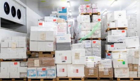Encuentran cuatro millones de vacunas vencidas en un frigorífico de la Ciudad de Buenos Aires.