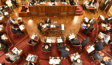 El Senado manifestó su “enérgico rechazo” a declaraciones de Saín