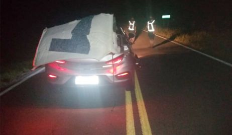 Un hombre falleció al chocar con caballos en la RP1