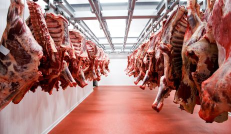 Las exportaciones de carne tuvieron un fuerte repunte interanual en febrero