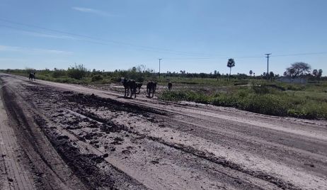 Policiales en el ámbito departamental