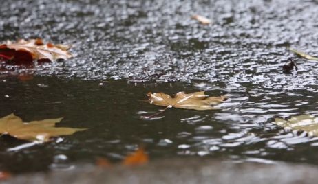 Datos de lluvia