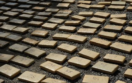 Secuestraron 49 kilos de marihuana en Las Toscas