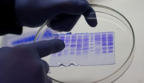 Antiviral santafesino contra el Covid-19 superó las pruebas de fase uno