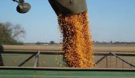 En cinco meses, la agroindustria argentina liquidó divisas como nunca en su historia