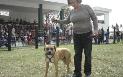 EXPO MASCOTAS EN LA SOCIEDAD RURAL DE VERA