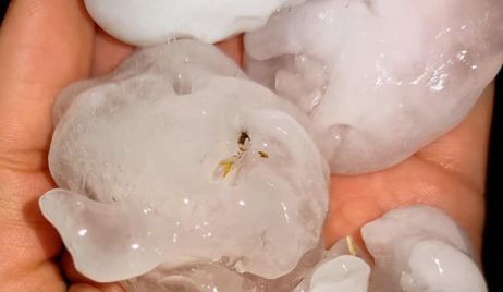 DATOS DE LLUVIA Y PRONÓSTICO EXTENDIDO