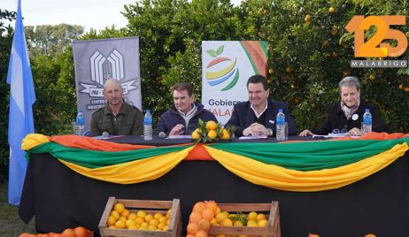 MALABRIGO: SE EMPIEZA A PALPITAR LA FIESTA DEL CITRUS