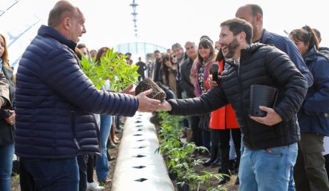 EL GOBERNADOR PEROTTI ENCABEZÓ EL ACTO DE INICIO DEL CULTIVO DE CANNABIS MEDICINAL A CAMPO EN LA PROVINCIA