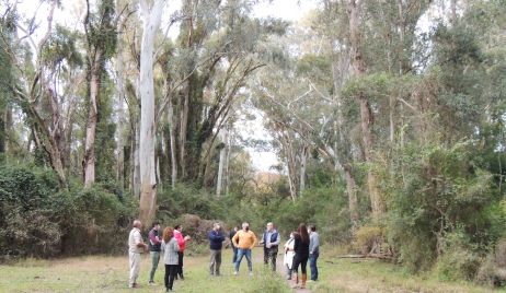 SANTA FE CAPACITA: SE DICTARÁN CURSOS EN LOS VIVEROS PROVINCIALES DE SANTA FE Y SANTA FELICIA