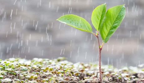 DATOS DE LLUVIA