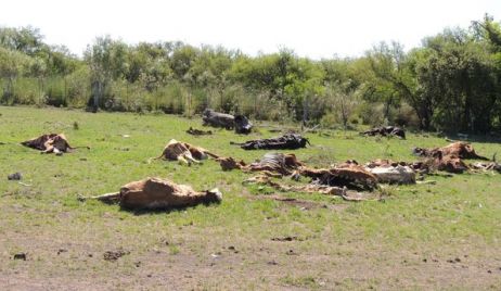 Sequía: piden que Santiago del Estero abra sus compuertas para que haya un caudal normal del río