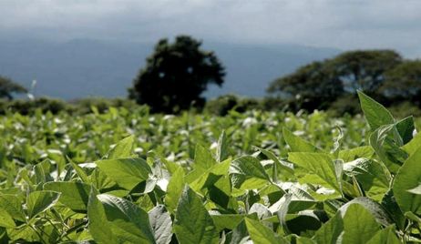 Investigadores estudian en Santa Fe el vínculo entre cáncer, agroquímicos y aguas con arsénico