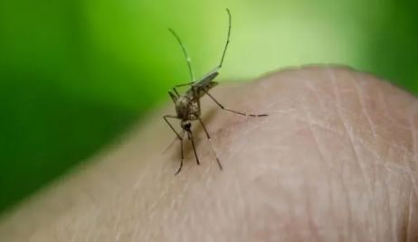 DENGUE: Casos registrados en toda la provincia