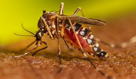EL MINISTERIO DE SALUD ACTUALIZÓ LOS DATOS DE DENGUE EN LA PROVINCIA