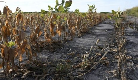 PEROTTI SE REUNIÓ EN ROSARIO CON AUTORIDADES Y REPRESENTANTES DEL SECTOR AGROPECUARIO