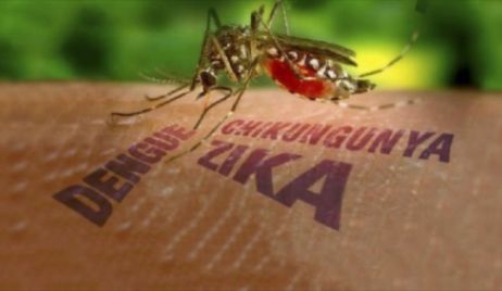LA PROVINCIA REGISTRA 7.661 CASOS DE DENGUE