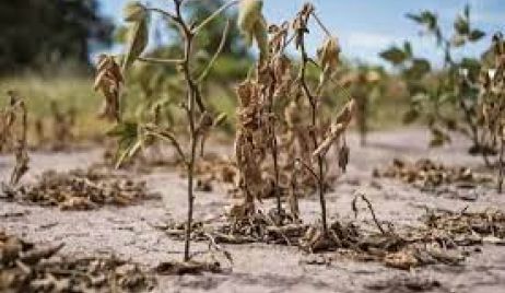 LA PROVINCIA PRORROGÓ LA EMERGENCIA AGROPECUARIA POR SEQUÍA EN TODO EL TERRITORIO Y PARA TODAS LAS ACTIVIDADES AGROPECUARIAS