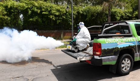 DENGUE: 13.647 CASOS EN TODO EL TERRITORIO SANTAFESINO