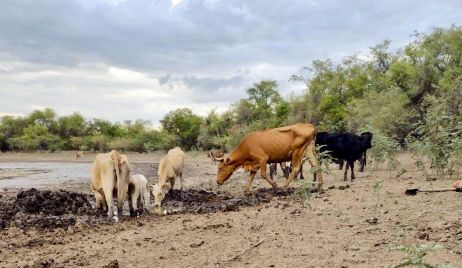 LA PROVINCIA HOMOLOGÓ A NIVEL NACIONAL LA PRÓRROGA DE LA EMERGENCIA AGROPECUARIA POR SEQUÍA EN TODO EL TERRITORIO SANTAFESINO
