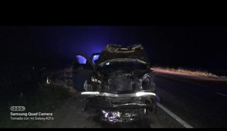 Camioneta choca con un animal vacuno sobre Ruta 11