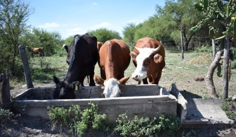 COSTAMAGNA ENTREGÓ APORTES POR 80 MILLONES DE PESOS A PRODUCTORES GANADEROS DEL DEPARTAMENTO VERA